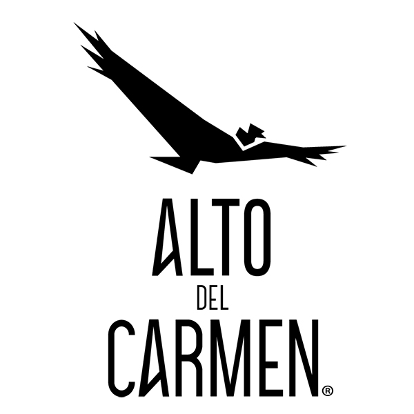 Alto del Carmen